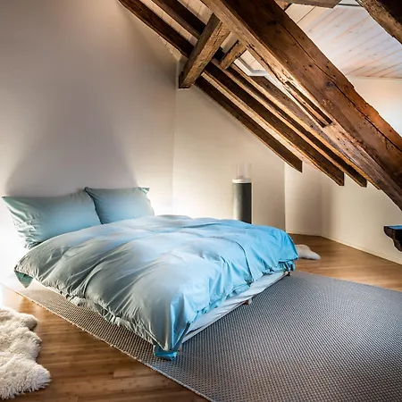 Daire Le Bijou Lintheschergasse / Hb