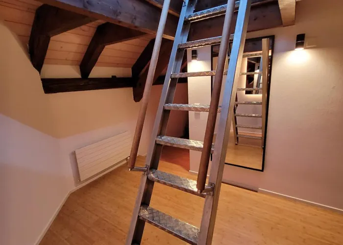 Le Bijou Lintheschergasse / Hb 公寓 苏黎世