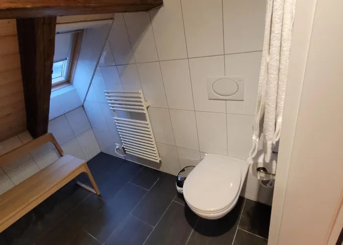 Le Bijou Lintheschergasse / Hb Апартаменты Цюрих