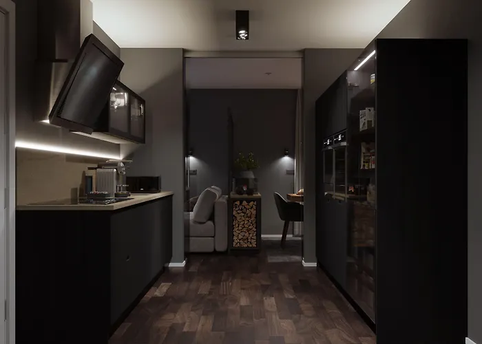 Le Bijou Lintheschergasse / Hb 公寓 苏黎世