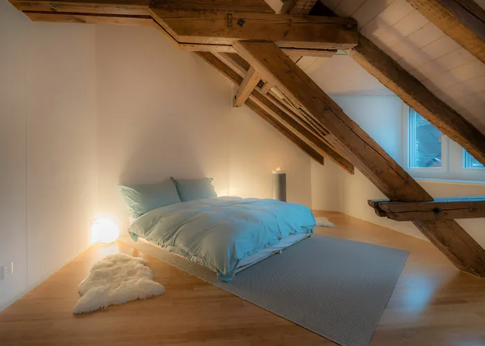 公寓 Le Bijou Lintheschergasse / Hb