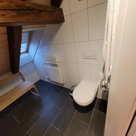 Le Bijou Lintheschergasse / Hb Apartment Zürich